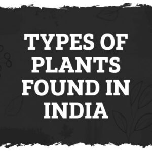 Types of plants found in india